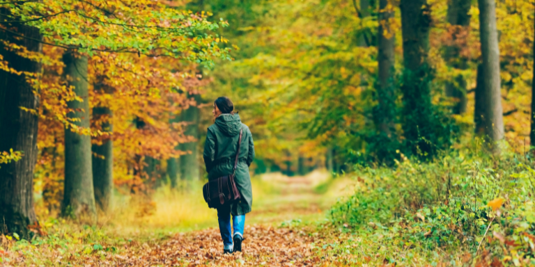 Eine Person spaziert im herbstlichen Wald.