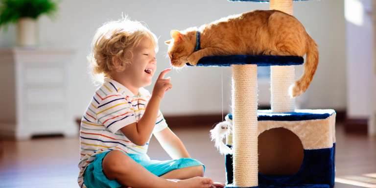 Un enfant joue avec un chat